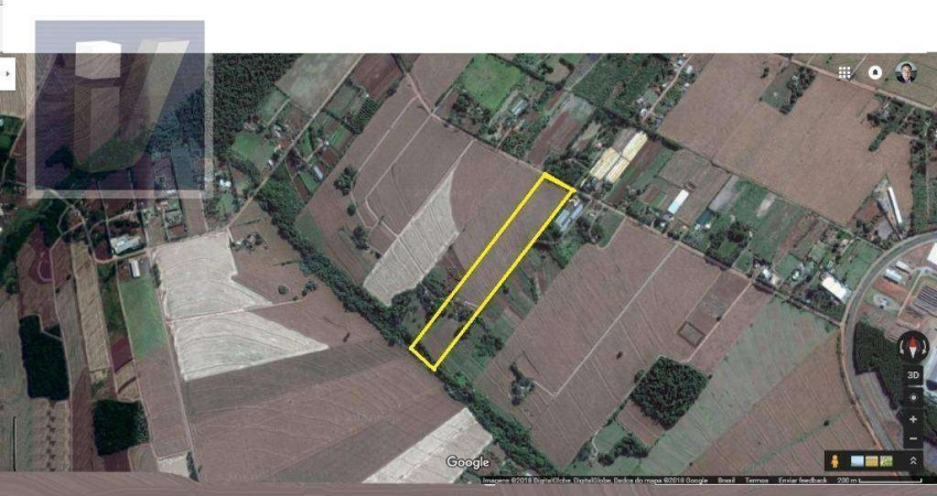 Chácara à venda, 69212 m² - Gleba Patrimônio Maringá - Maringá/PR