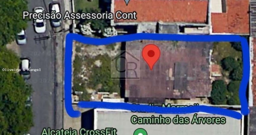Terreno comercial para alugar na Rua das Rosas, Pituba, Salvador