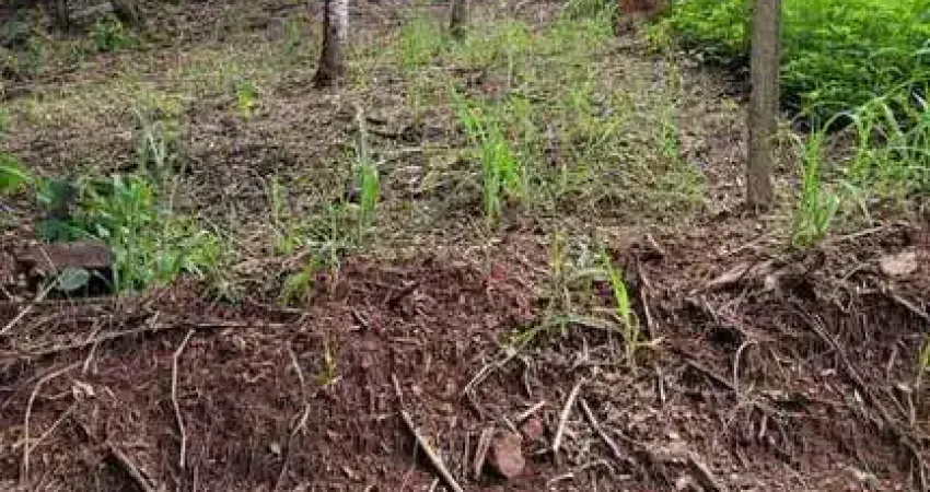 Terreno, Alpes de Piedade, Piedade - R$ 100 mil, Cod: 65