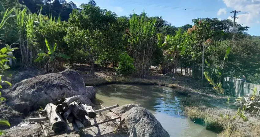 Chácara com 5 quartos, Ciriaco, Piedade - R$ 370 mil, Cod: 73