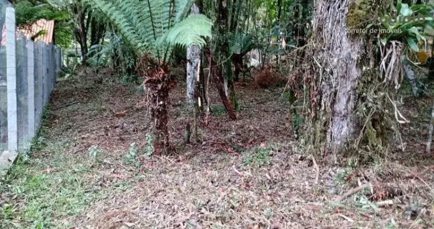 Terreno, 640,00m², à venda em Canela, Parque das Hortênsias (Laje de Pedra).