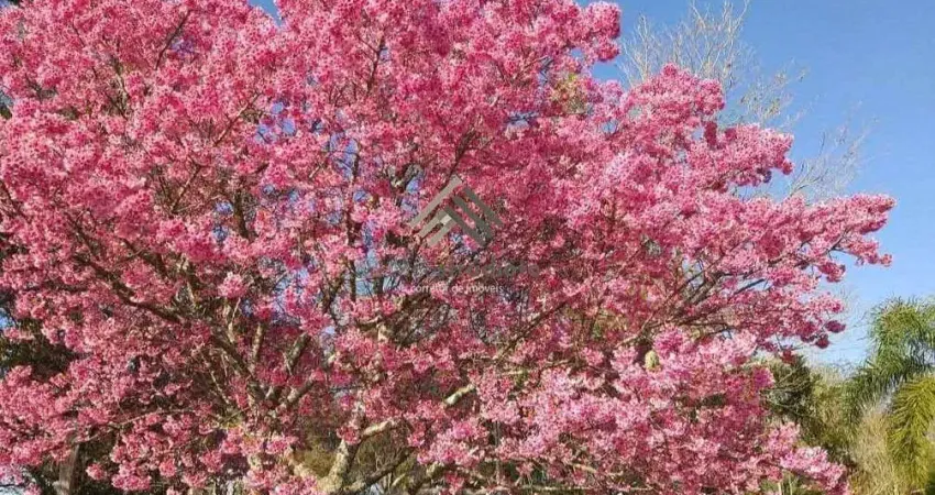 Chácara à venda em júlio de castilhos, val de serra, com 2 quartos, 5,27ha