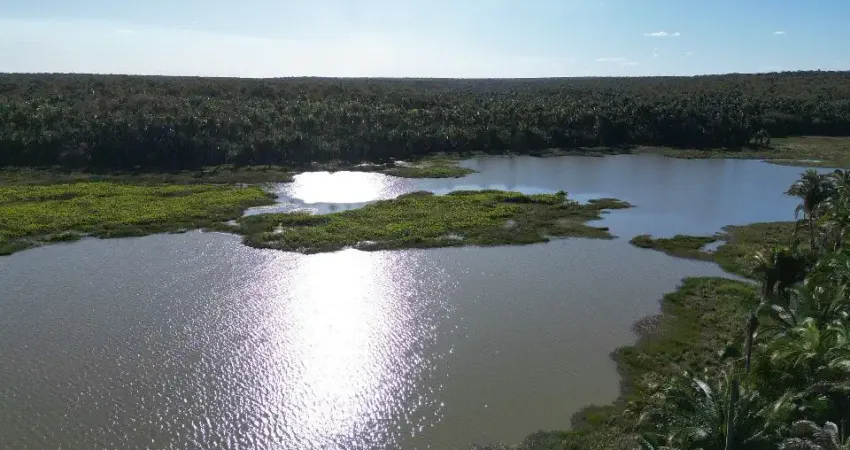 Fazenda à venda na Zona Rural, Barão de Grajaú 