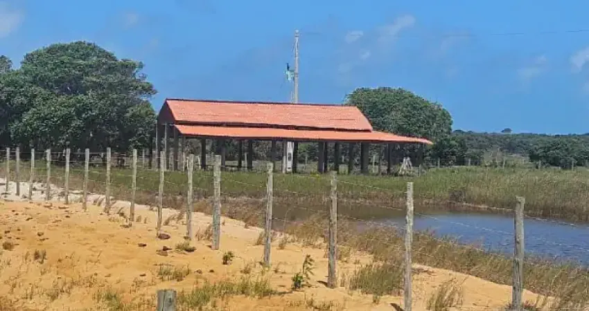 Oportunidade única em pontal do ipiranga – terreno com 12 alqueires!