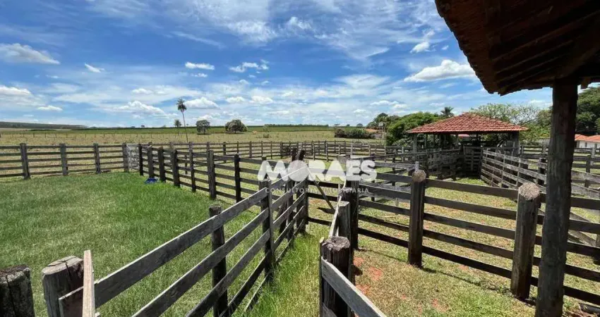 Fazenda à venda, 115 alqueires por R$ 27.000.000 - Jacuba - Arealva/SP