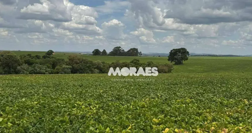 Fazenda de Soja à venda, 120 alqueires paulista por R$ 39.600.000 - Itapeva/SP