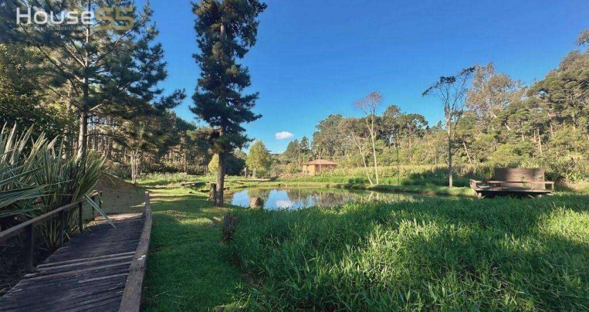 Terreno à venda, 866 m² por R$ 340.000,00 - Vila David Antônio - Campo Largo/PR