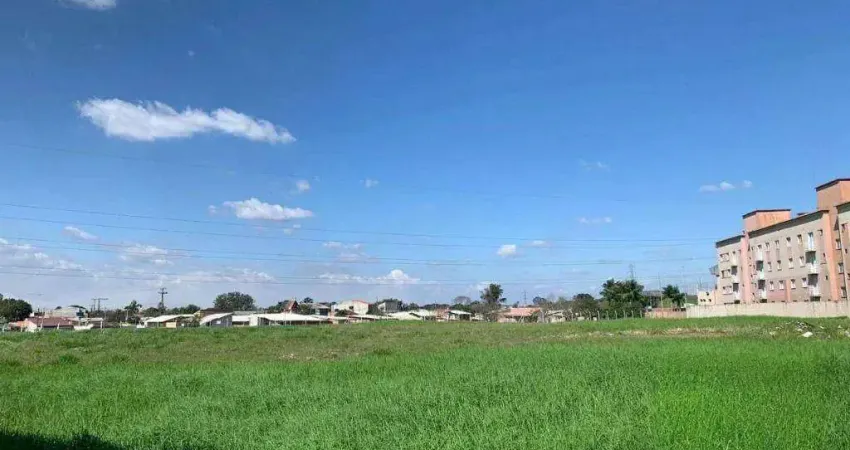 Terreno à venda, 10230 m² por R$ 11.100.000,00 - Uberaba - Curitiba/PR