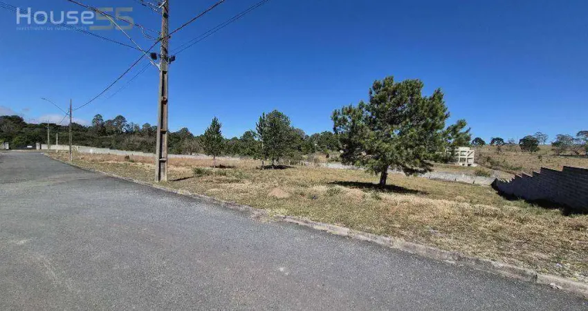 Terreno à venda, 3547 m² por r$ 599.900,00 - centro - quatro barras/pr