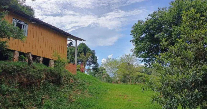 Chácara à venda, 12100 m² por r$ 800.000,00 - ferraria - campo largo/pr