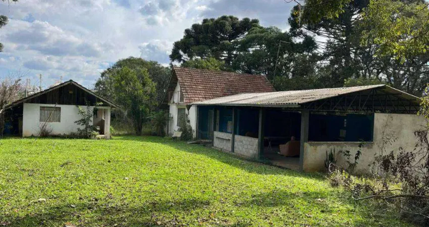 Chácara com 4 dormitórios à venda, 143840 m² por r$ 2.300.000,00 - colonia lima - mandirituba/pr