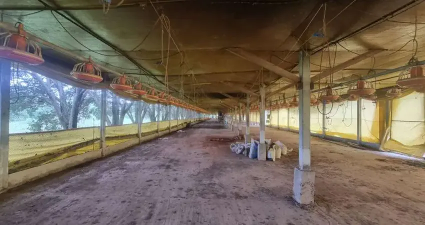 Terreno, 1788 m² - venda por R$ 150.000 ou aluguel por R$ 2.500/mês - Americaninha - Boituva/São Paulo