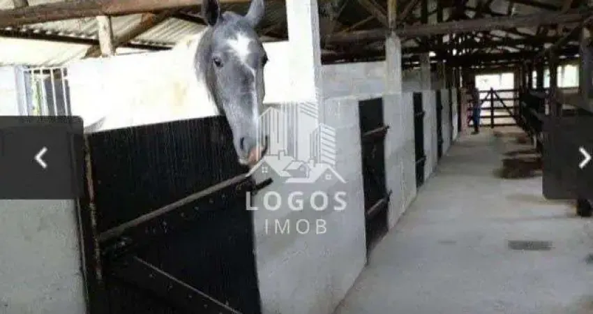 Excelente Sítio para morar ou investir com fácil acesso na região de Barbacena.