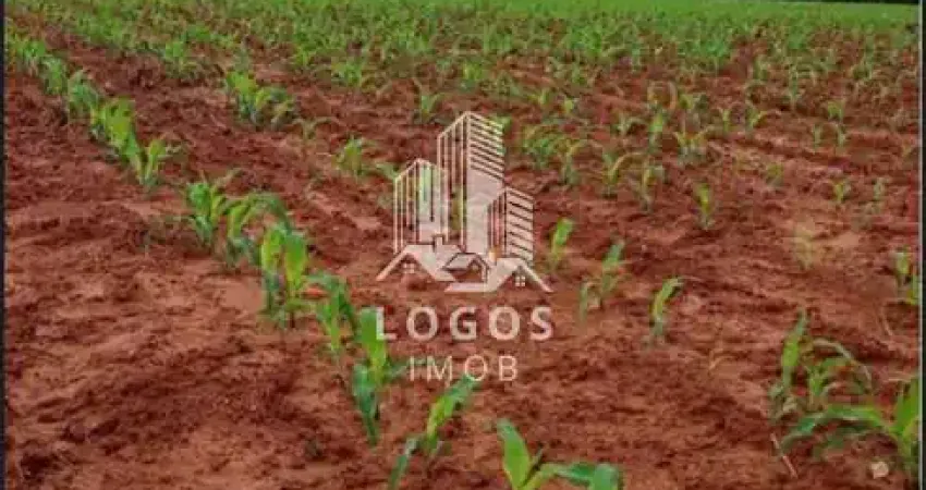 Ótima fazenda com 244 hectares em João Pinheiro - MG - 02.