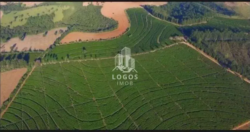 Maravilhosa fazenda de café com 2.100 alqueires em minas gerais