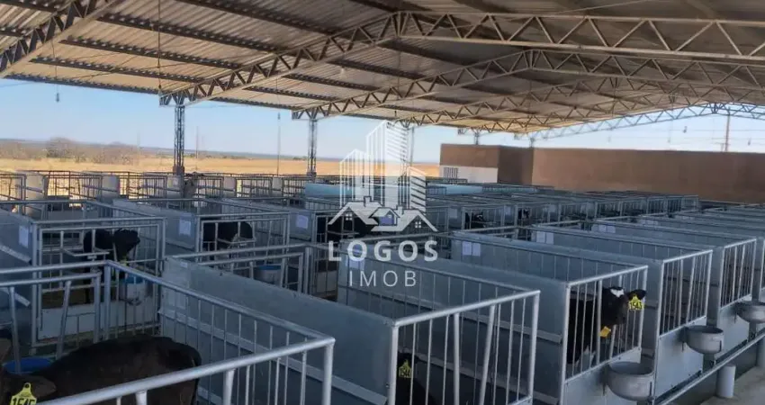 Fazenda leiteira com 1.200 hectares - joão pinheiro - mg. - 01