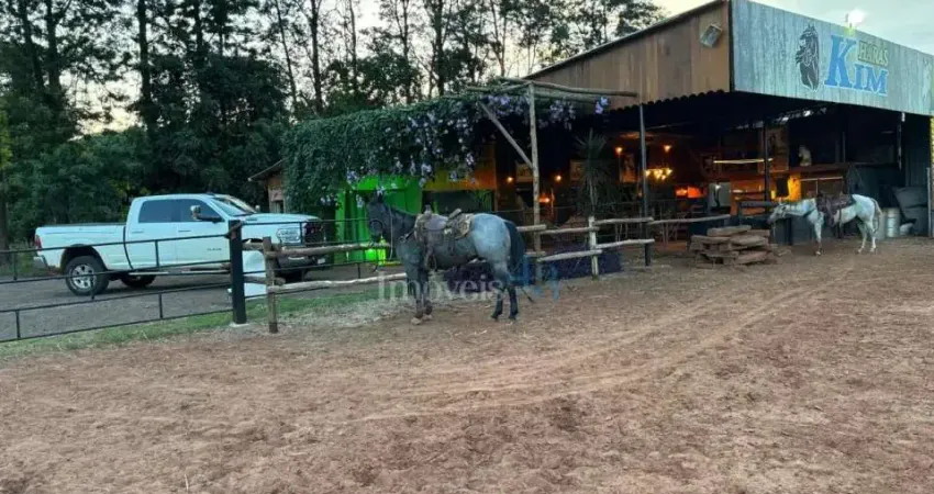 Chácara / sítio com 1 quarto à venda na HK, 1, Área Rural de Rolândia, Rolândia