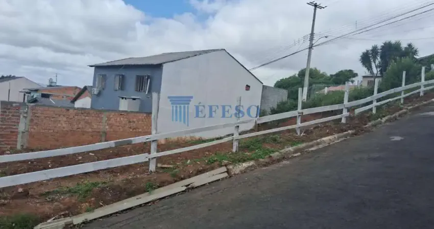Terreno à venda na Rua São Sebastião do Cai, Vera Cruz, Gravataí