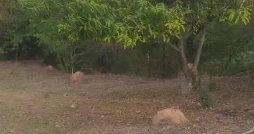 Terreno à venda na Chácara Carolina, Itu 