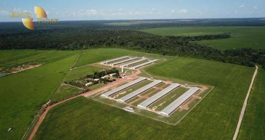 Chácara à venda, 900000 m² por R$ 15.000.000,00 - Zona Rural - Lucas do Rio Verde/MT