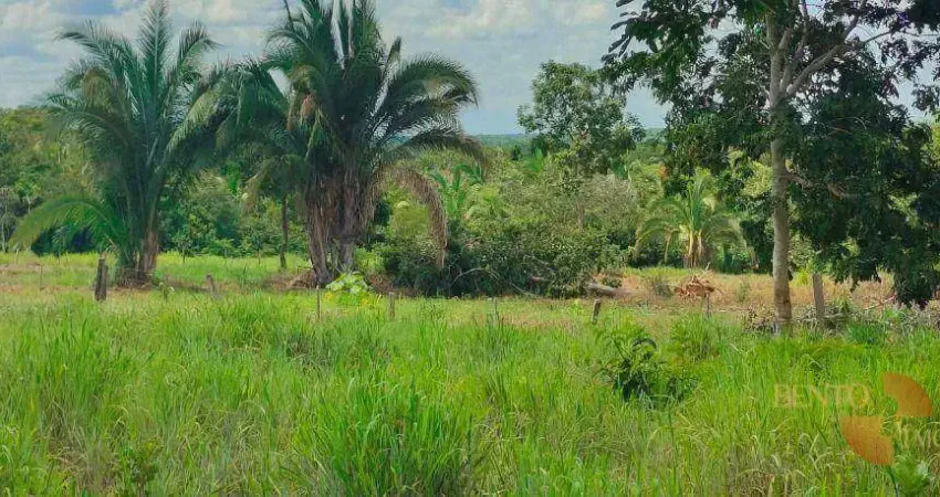 Chácara com 2 dormitórios à venda, 100000 m² por R$ 350.000 - Zona Rural - Nossa Senhora do Livramento/MT