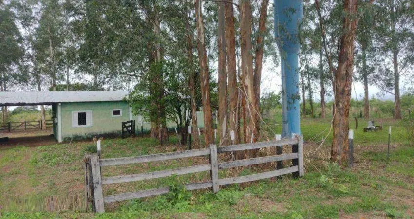 Fazenda à venda, 13800 m² por r$ 165.000.000 - zona rural - santo antônio do leste/mt