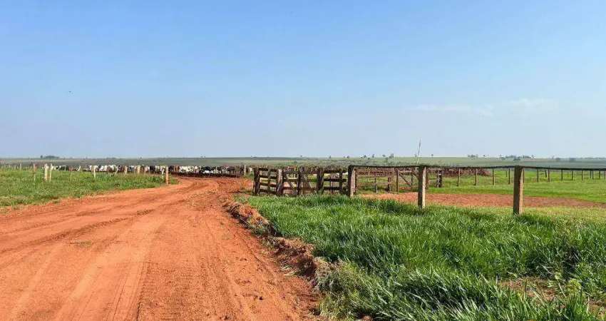 Fazenda à venda, 20200000 m² por R$ 133.000.000 - Zona Rural - Navirai/MS