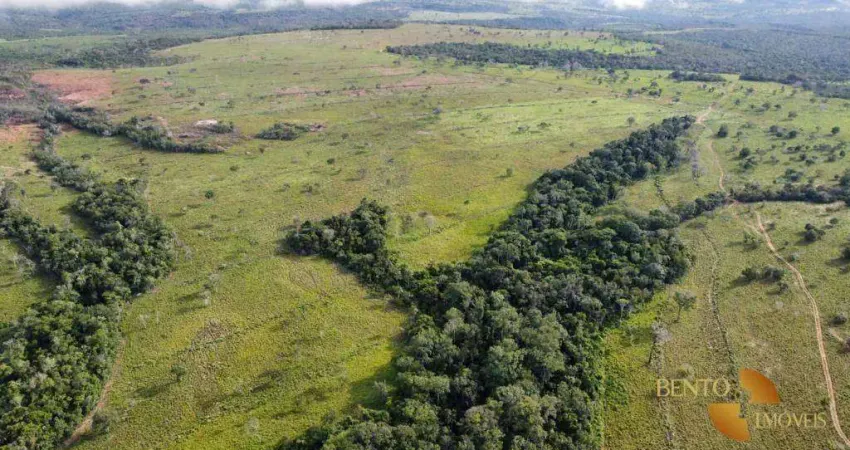Fazenda à venda, 19360000 m² por R$ 32.000.000 - Zona Rural - Primavera do Leste/MT
