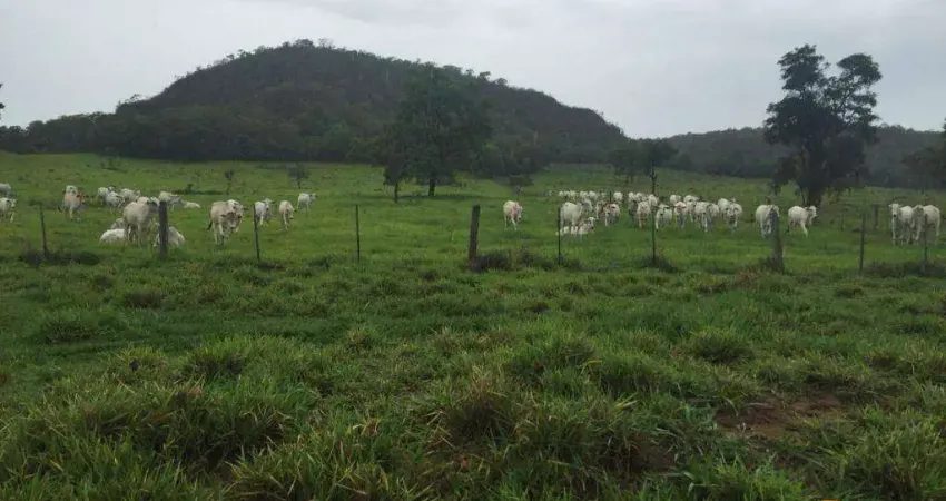Fazenda à venda, 23400000 m² por R$ 42.120.000 - Zona Rural - Alto Araguaia/MT