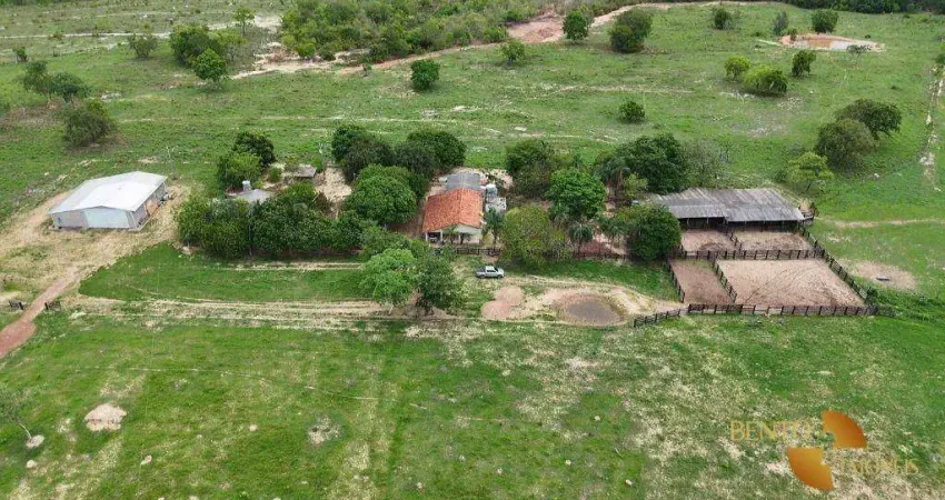 Fazenda à venda, 10060000 m² por R$ 21.000.000,00 - Zona Rural - General Carneiro/MT