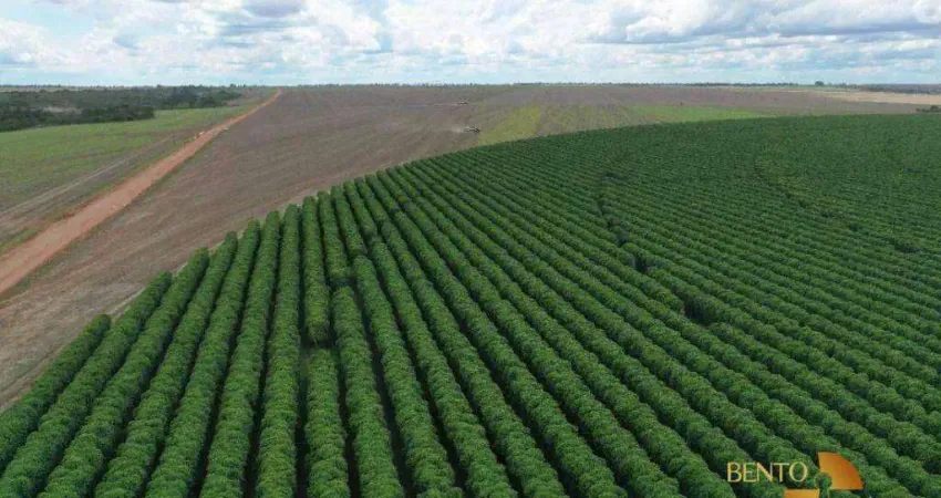 Fazenda à venda, 53000000 m² por R$ 500.000.000 - Zona Rural - João Pinheiro/MG