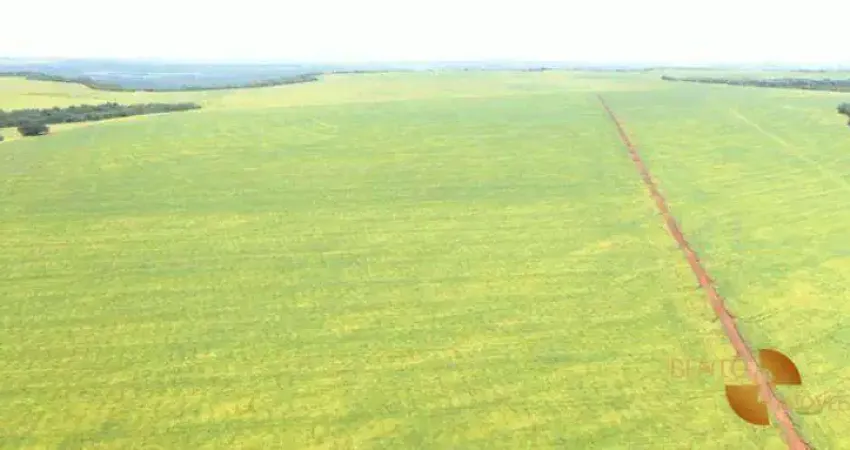 Fazenda à venda, 40000000 m² por R$ 300.000.000 - 256 - Tesouro/MT