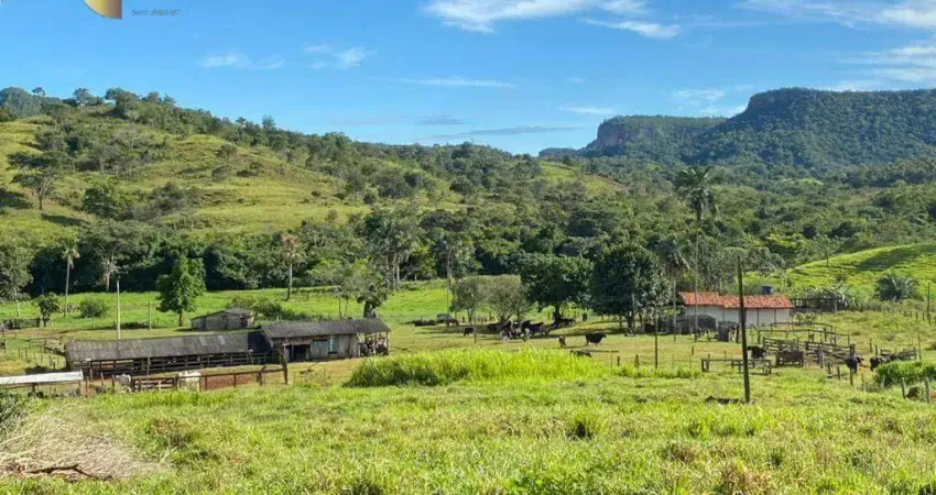 Fazenda à venda, 10060000 m² por R$ 19.000.000,00 - Zona Rural - Dom Aquino/MT