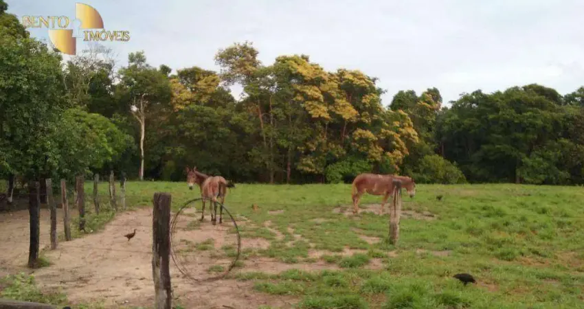 Fazenda à venda, 48368000 m² por R$ 52.000.000,00 - Zona Rural - Gaúcha do Norte/MT