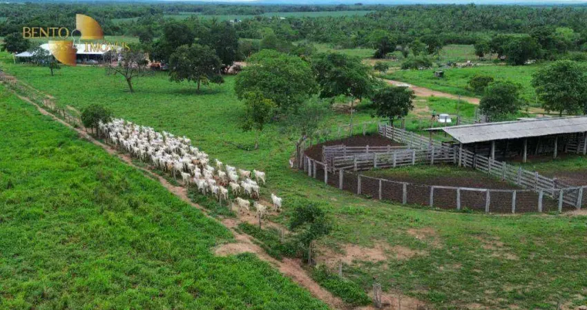 Fazenda à venda, 30000000 m² por R$ 39.000.000,00 - Zona Rural - Rosário Oeste/MT