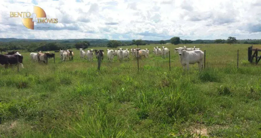 Fazenda à venda, 12340000 m² por R$ 16.000.000,00 - Zona Rural - Nova Brasilândia/MT