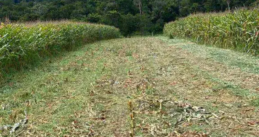 Fazenda à venda, 32700000 m² por R$ 55.590.000,00 - Zona Rural - Cáceres/MT