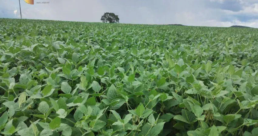 Fazenda à venda, 9640000 m² por R$ 30.000.000,00 - Zona Rural - Planalto da Serra/MT