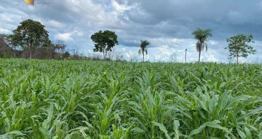 Fazenda à venda, 2000000 m² por R$ 2.600.000,00 - Zona Rural  - Várzea Grande/MT
