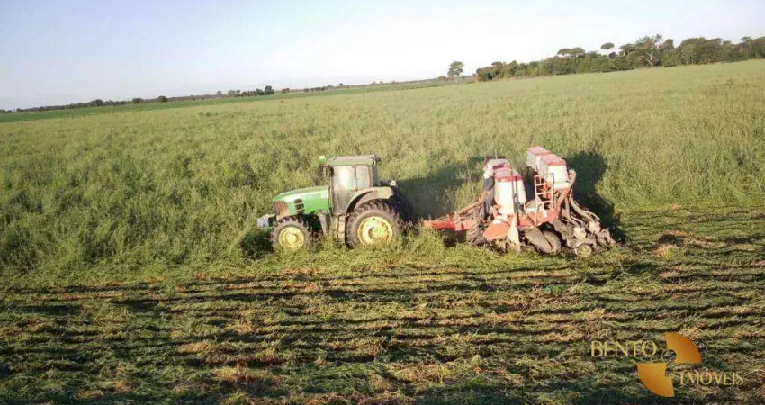Fazenda à venda, 53240000 m² por R$ 495.000.000 - Zona Rural - Jussara/GO