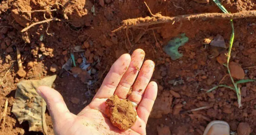 Fazenda à venda, 12300000 m² por R$ 43.050.000 - Zona Rural - Rosário Oeste/MT