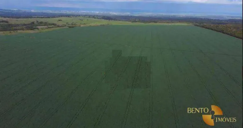 Fazenda à venda, 2200000 m² por R$ 19.000.000,00 - Zona Rural - Jaciara/MT