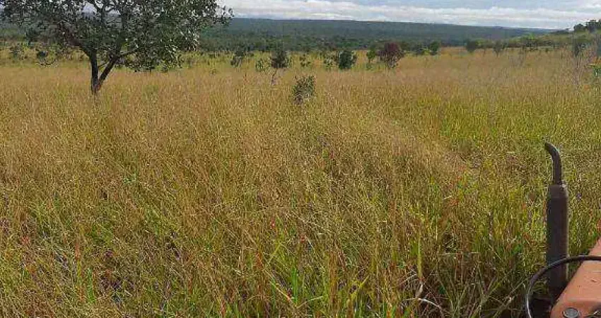 Fazenda à venda, 27000000 m² por R$ 48.600.000,00 - Zona Rural - Paranatinga/MT