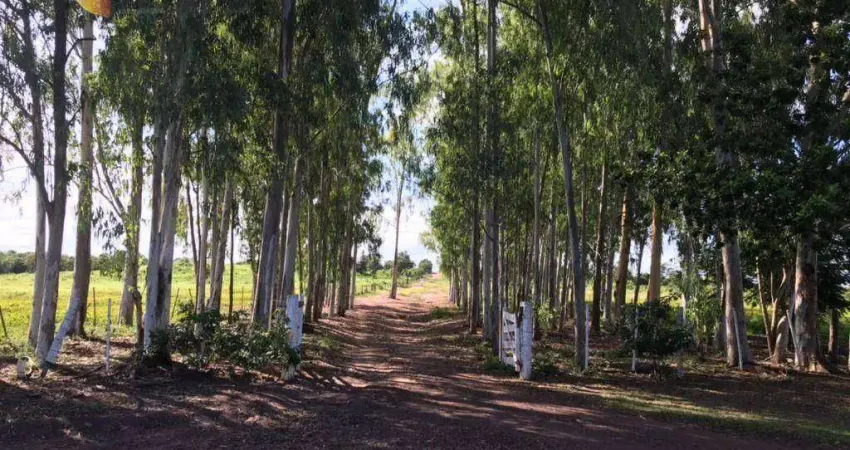 Fazenda à venda, 12000000 m² por R$ 35.000.000,00 - Zona Rural - Acorizal/MT