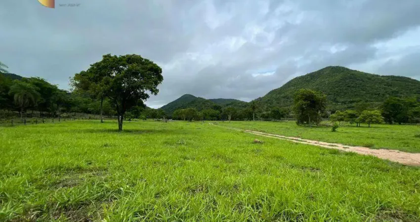 Fazenda à venda, 630 m² por R$ 6.499.000,00 - Zona Rural - Santo Antônio do Leverger/MT