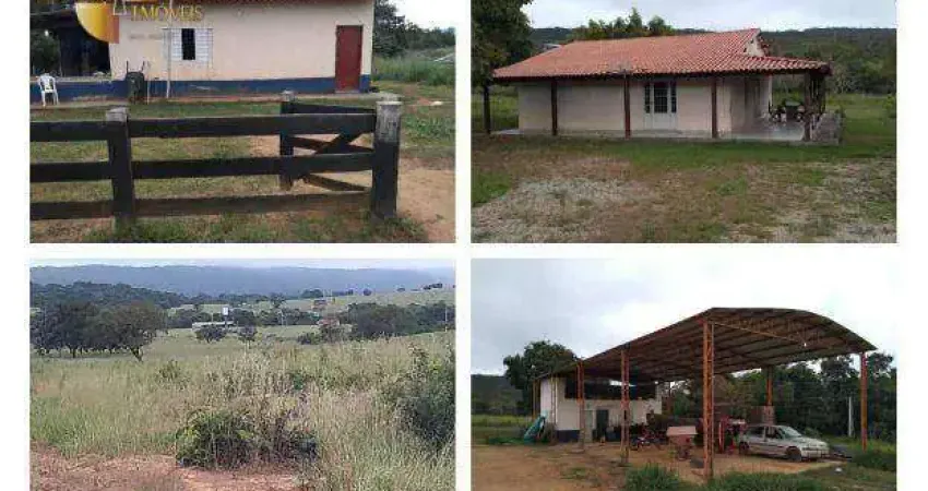 LEILÃO DE 50% DE 2 FAZENDAS EM:  Zona Rural - Cáceres/MT