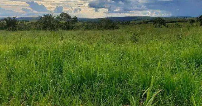 FAZENDA EM PRIMAVERA DO LESTE - à venda, 90000000 m² por R$ 117.000.000 - Zona Rural - MT