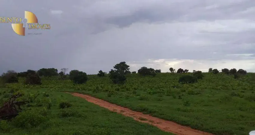 Fazenda à venda, 1035 hect por R$ 8.000.000 - Zona Rural - Primavera do Leste/MT