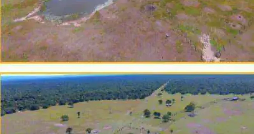 Fazenda à venda, 49900000 m² por R$ 22.000.000,00 - Zona Rural - Santo Antônio do Leverger/MT