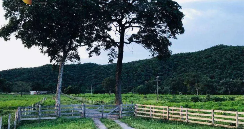 Fazenda na beira da BR 150km de Cuiabá sentido Cáceres  à venda, 10000000 m² por R$ 20.000.000 - Zona Rural - Cuiabá/MT